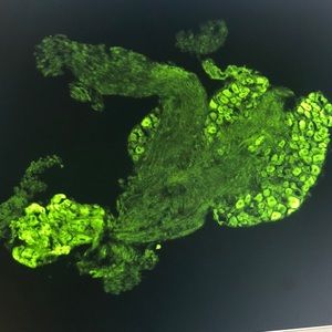 Meet your Posher, Taryn